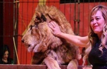 الفنانة فاتن الحلو الفنانة فاتن الحلو