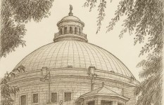 جامعة القاهرة  جامعة القاهرة