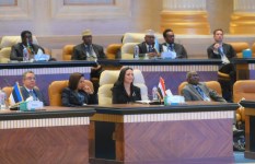 جانب من الفعاليات  جانب من الفعاليات