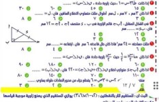 النماذج الاسترشادية  النماذج الاسترشادية