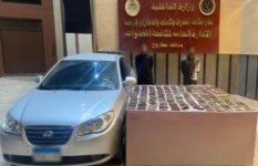 المتهمين  المتهمين