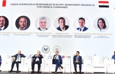 منتدى الأعمال المصرى الفرنسى منتدى الأعمال المصرى الفرنسى