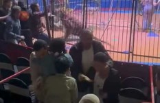 هجوم الممر في سيرك طنطا