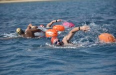 38 سباحًا وسباحة يمثلون مصر