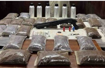 المضبوطات  المضبوطات