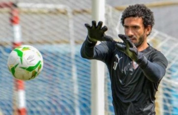 محمد عواد  محمد عواد