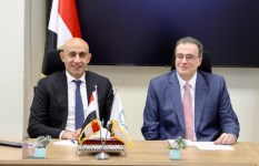 جانب من الفعاليات  جانب من الفعاليات