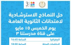 حل النماذج الاسترشادية 