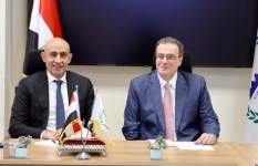 جانب من الفعاليات 