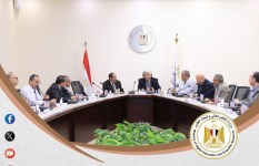 جانب من الفعاليات 