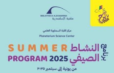 مكتبة الإسكندرية 