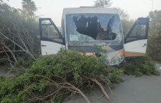 تصادم أتوبيس طلاب مدرسة خاصة مع سيارة ملاكي بالتجمع الأول  تصادم أتوبيس طلاب مدرسة خاصة مع سيارة ملاكي بالتجمع الأول