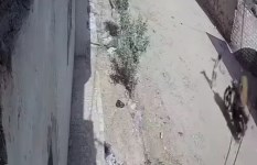 واقعة حادث دهس طفل في أطفيح  واقعة حادث دهس طفل في أطفيح