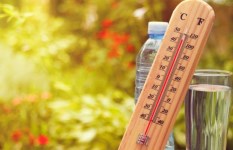 الطقس الطقس