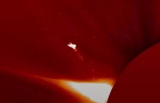 طائر النار فوق الشمس