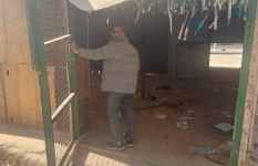 إزالة كابينه المتهم بخطف والتعدي على صغار بكفر الدوار إزالة كابينه المتهم بخطف والتعدي على صغار بكفر الدوار