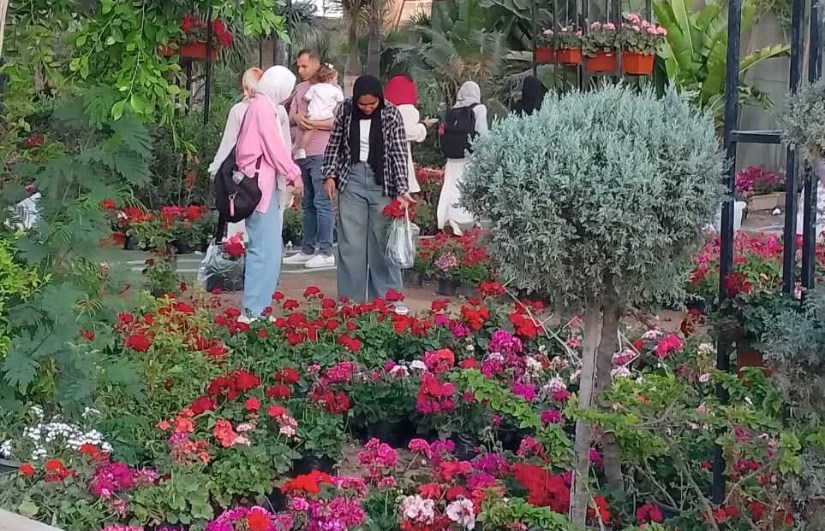 معرض زهور الربيع معرض زهور الربيع