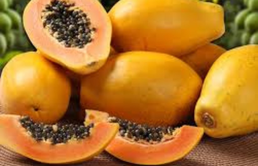 ما هي فوائد وأضرار البابايا ما هي فوائد وأضرار البابايا
