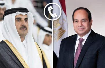 الرئيس السيسي وأمير قطر  الرئيس السيسي وأمير قطر