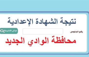 الوادي الجديد 