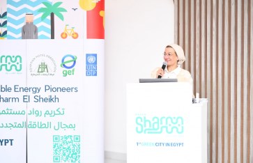 الدكتورة ياسمين فؤاد وزيرة البيئة الدكتورة ياسمين فؤاد وزيرة البيئة