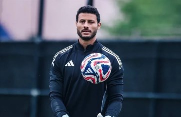 محمد الشناوي محمد الشناوي