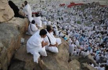 الحجاج الحجاج