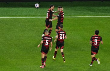 فلامنجو فلامنجو