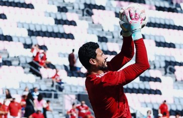 محمد الشناوي  محمد الشناوي