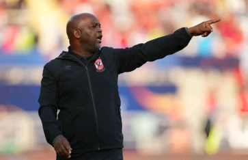 الأهلي الأهلي