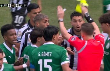 بالميراس البرازيلي 