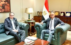 جانب من الفعاليات 