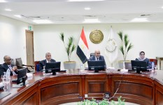 جانب من الفعاليات 