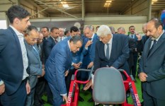 مصنع النجيل الصناعي