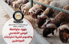 الأضاحي  الأضاحي