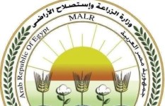 وزارة الزراعة  وزارة الزراعة