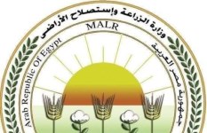 وزارة الزراعة  وزارة الزراعة