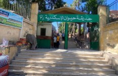 حديقة حيوان الإسكندرية  حديقة حيوان الإسكندرية