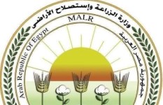 وزارة الزراعة  وزارة الزراعة