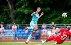 أسد الحملاوي 