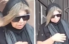 بوسي شلبي بوسي شلبي