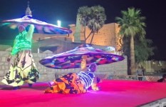 الهيئة العامة لقصور الثقافة الهيئة العامة لقصور الثقافة
