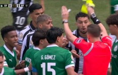 بالميراس البرازيلي 