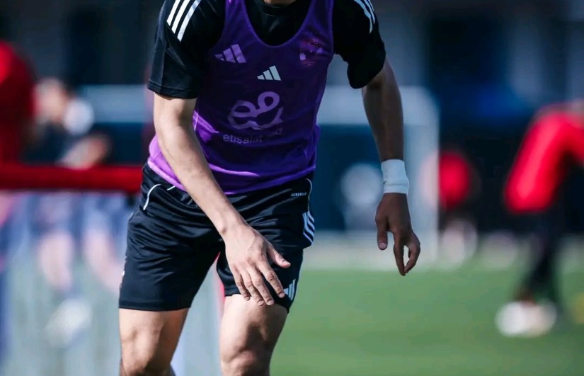 الأهلي الأهلي