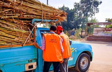 صندوق مكافحة وعلاج الإدمان  صندوق مكافحة وعلاج الإدمان