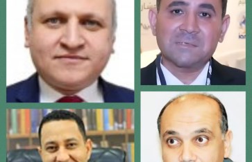 أساتذة القانون