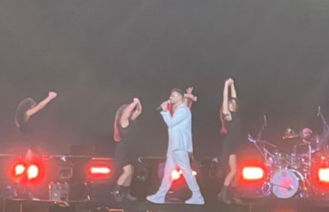 الشامي من حفله في مصر الشامي من حفله في مصر