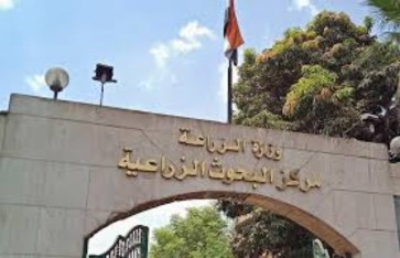 وزارة الزراعة  وزارة الزراعة