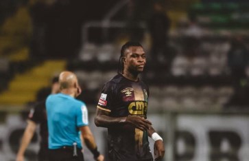 شيكو بانزا  شيكو بانزا