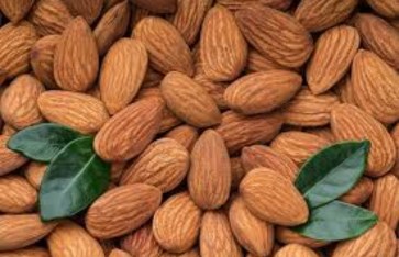 فوائد اللوز فوائد اللوز